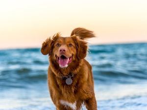 prewedding_bali_shoot.mp4